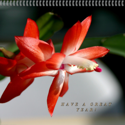 Calendar 2025 Beautiful Flowers